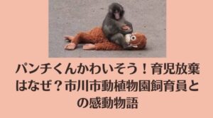 パンチくんかわいそう！育児放棄はなぜ？市川市動植物園飼育員との感動物語