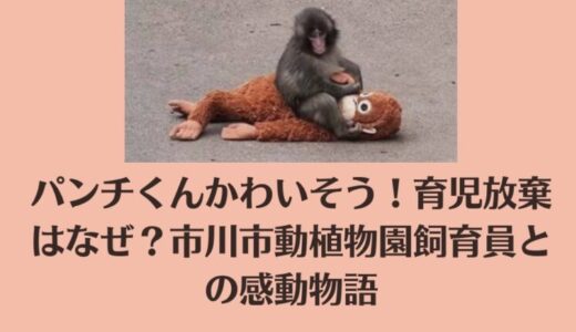 パンチくんかわいそう！育児放棄はなぜ？市川市動植物園飼育員との感動物語