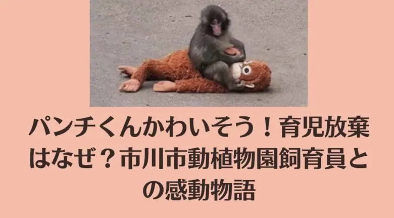 パンチくんかわいそう！育児放棄はなぜ？市川市動植物園飼育員との感動物語
