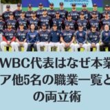 チェコWBC代表はなぜ本業持ち？サトリア他5名の職業一覧と野球との両立術